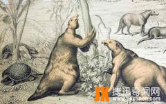 刚果恐龙魔克拉-姆边贝：