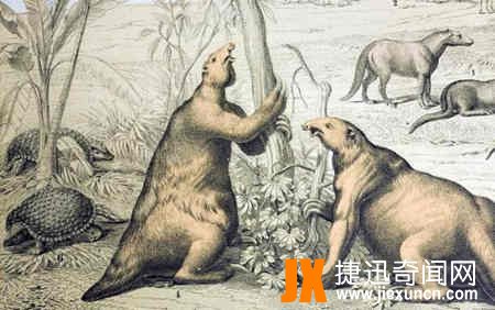 刚果恐龙