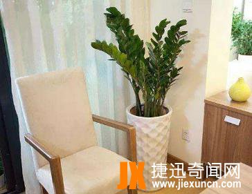 10种最旺宅的植物：家里养这些植物财运好