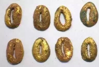 古代最早的实物货币,贝币