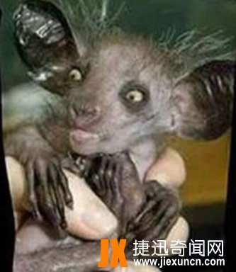 水猴子水鬼图片：最真实的水猴子水鬼图片