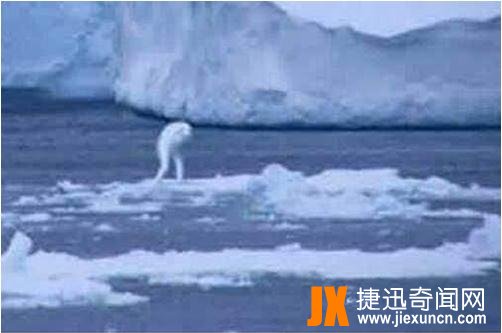 海底发现30米巨人