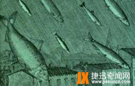 空中降鱼：十大天气奇观之一，令人不解的天空降落动物