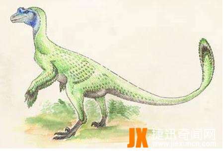 联鸟龙