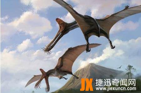 联鸟龙