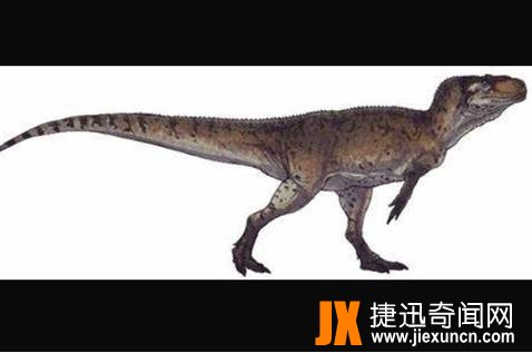 皮尔逊龙