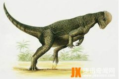 倾头龙：蒙古国小型恐龙(肿头龙科,长2