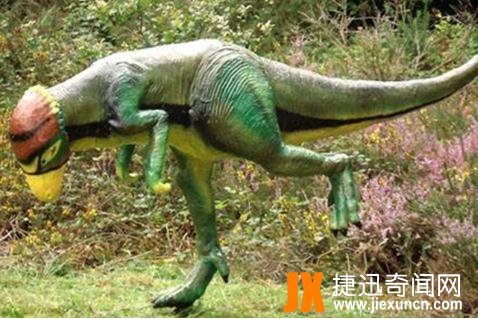 倾头龙