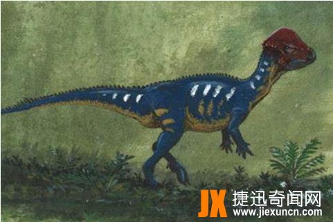 倾头龙
