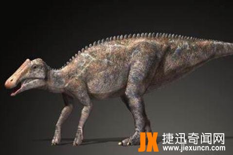 原栉龙