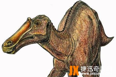 原栉龙