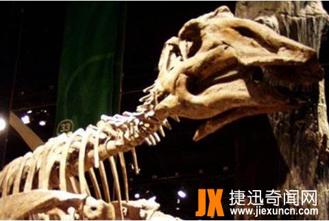原栉龙