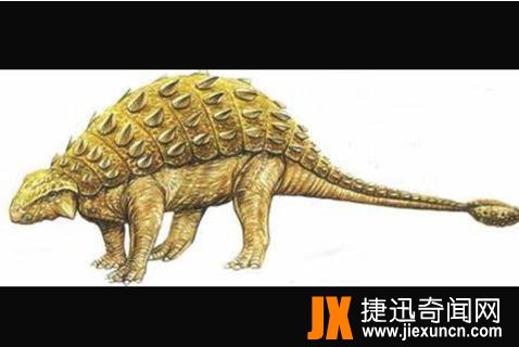 绘龙