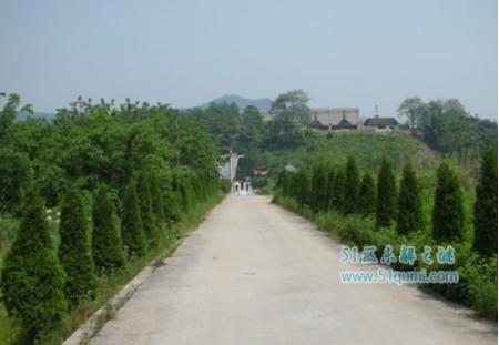 印山大墓主人身份之谜 可与秦陵媲美的江南第一大墓