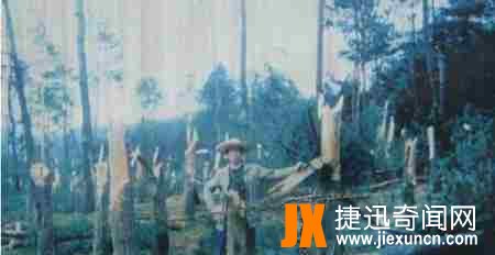 1994年贵阳空中怪车事件真相 