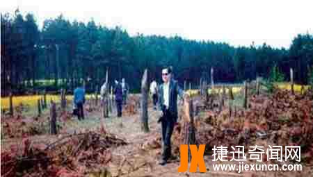 1994年贵阳空中怪车事件真相 