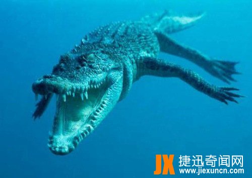 世界上最重的动物排行榜 