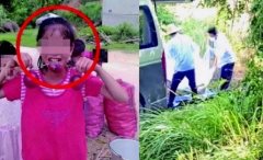 百香果女孩案是怎么回事