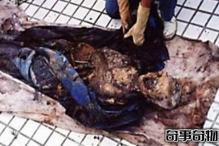四川南充百年清朝古尸曝光 为什么要烧掉南充僵尸