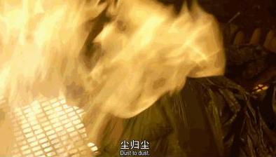 四川南充百年清朝古尸曝光 为什么要烧掉南充僵尸