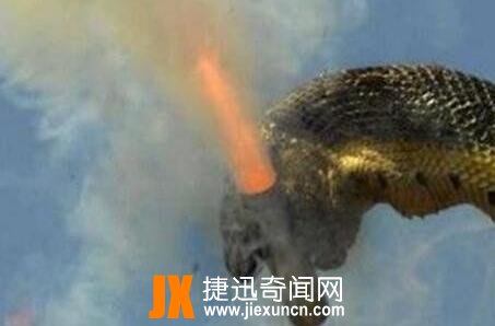 100个头蛇图片