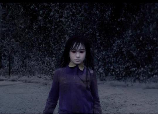 13部吓死过人的鬼片