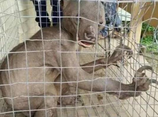 水鬼拉人的真实事件