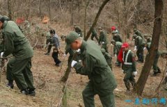 韩国三大悬案 手段令人发指（凶手至今逍