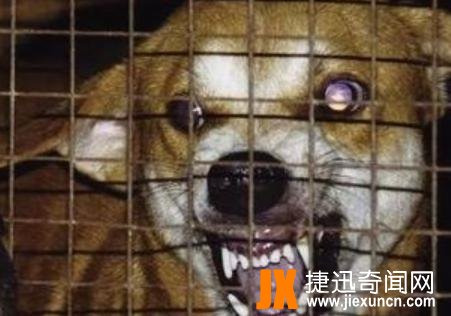 世界上十大必死病