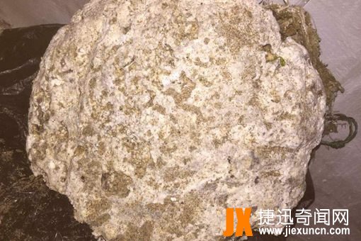 龙涎香是什么东西?为什么那么贵是怎么做出来的?