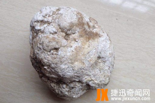 龙涎香是什么东西?为什么那么贵是怎么做出来的?