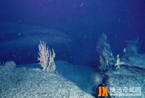 大西洋海底有多恐怖