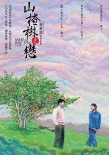 《山楂树之恋》（艾米）--中国当代经典爱情小说之一