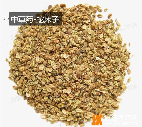蛇床子图片2