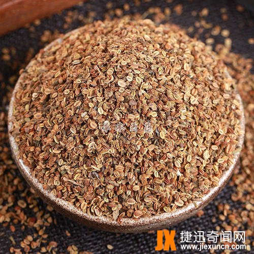 蛇床子图片3