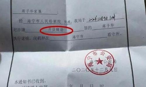 辛巴幕后的老板是谁 辛巴幕后老大是谁介绍