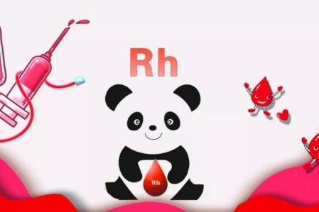 o型血为什么叫熊猫血?真正熊猫血是RH阴性