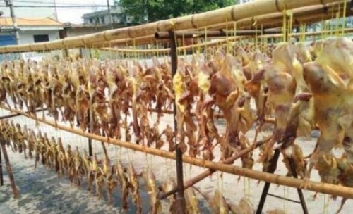 中国十大禁菜名单 炭烤乳羊会一尸两命(人类舌尖上的罪孽)