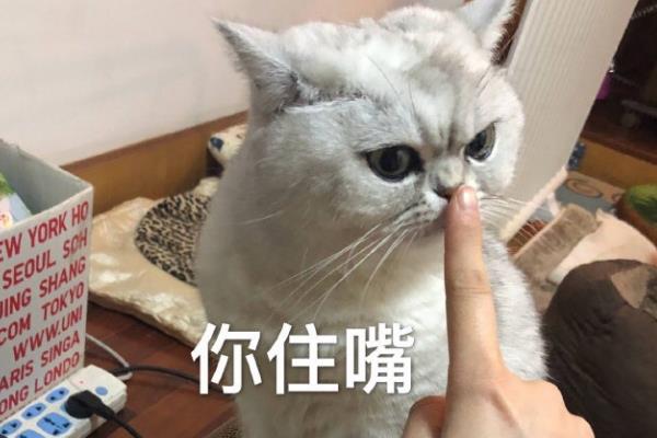 蒟蒻是什么意思
