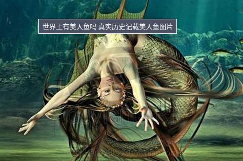 世界上有美人鱼吗 真实历史记载美人鱼图片