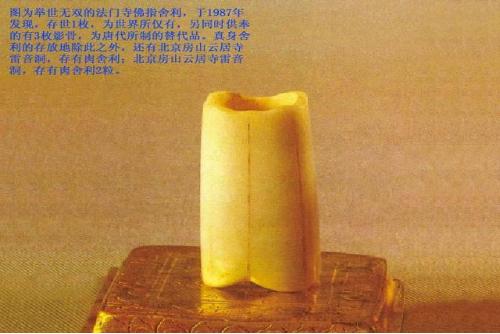 舍利子有什么用途（佛教供奉舍利子有什么好处）