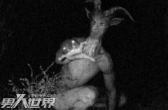美国恐怖山羊人图片 传说中的山羊人是否