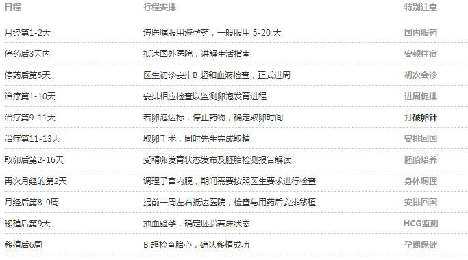 俄罗斯试管婴儿行程规划
