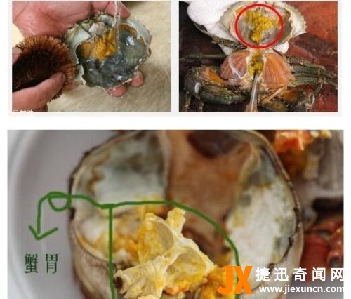 螃蟹哪里不能吃高清图 这四张图片告诉你螃蟹需要清除的部位