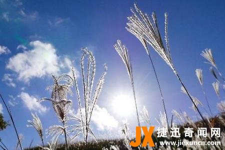 挪威的森林在哪里拍摄的