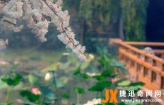 为什么说云深不知处
