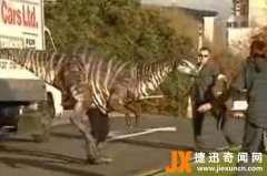 美国发现了一只活恐龙：活灵活现，高达