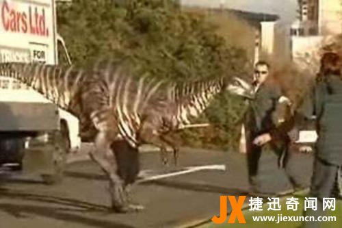 美国发现了一只活恐龙