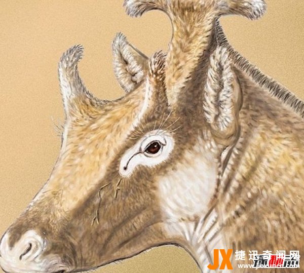 古代十大恐怖吓人的动物 幸好都已经灭绝了(忐忑不安)