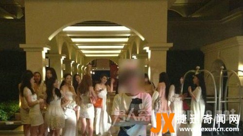 海天盛筵12大绿茶婊